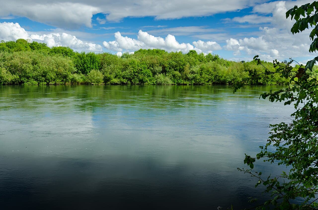 The Willamette River at Willamette Park in Corvallis, with a green tree line on the far bank under a blue sky and white clouds.